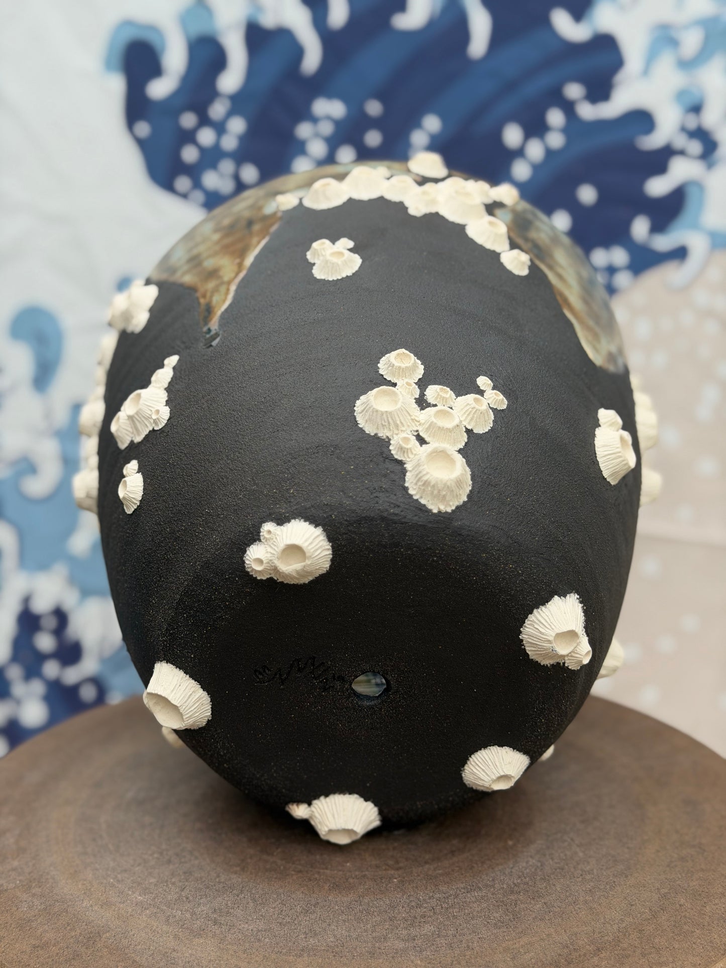 Barnacle Plant Pot | Miscellaneous