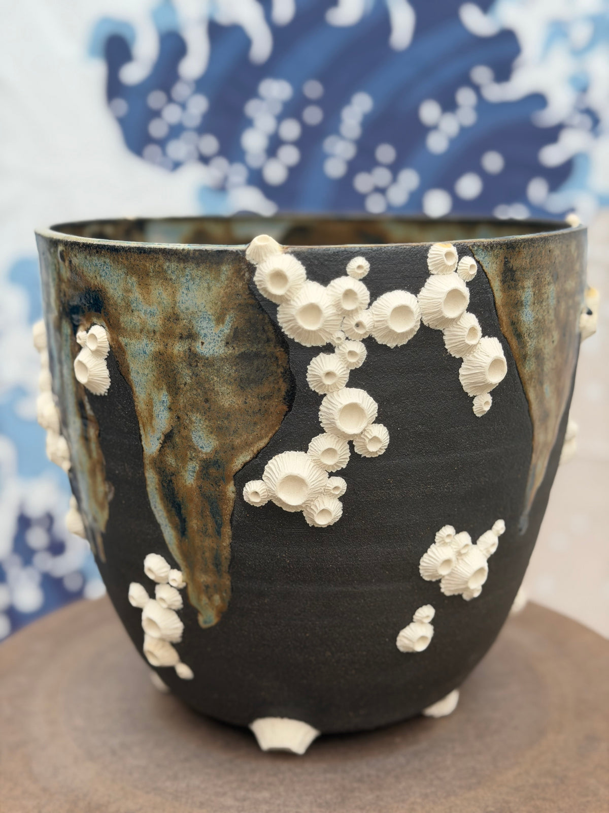 Barnacle Plant Pot | Miscellaneous