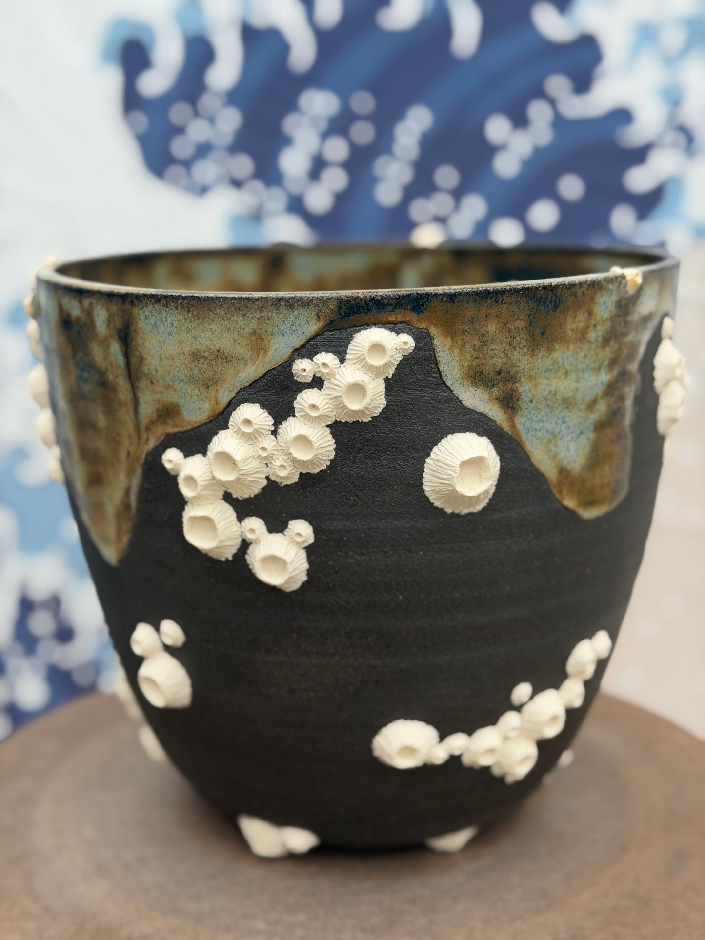 Barnacle Plant Pot | Miscellaneous